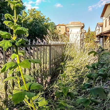 Villa Elvira Ambra Екстер'єр фото