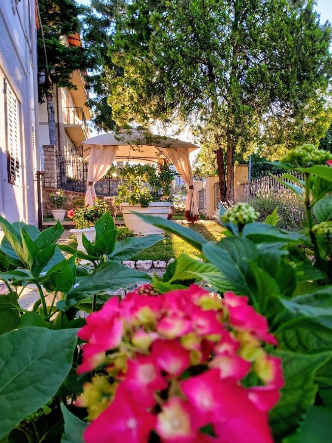 Villa Elvira Ambra Екстер'єр фото