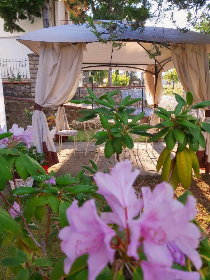 Villa Elvira Ambra Екстер'єр фото