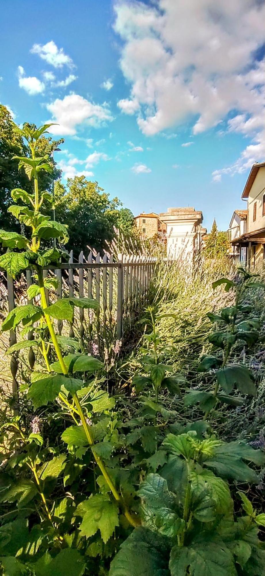 Villa Elvira Ambra Екстер'єр фото
